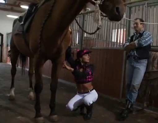 سكس حيوانات نيك عنيف فى اسطبل حيوانات